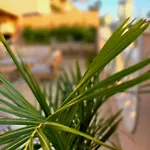 Mirador Del Atlantico With Private Pool * Puerto de Santiago (Tenerife)