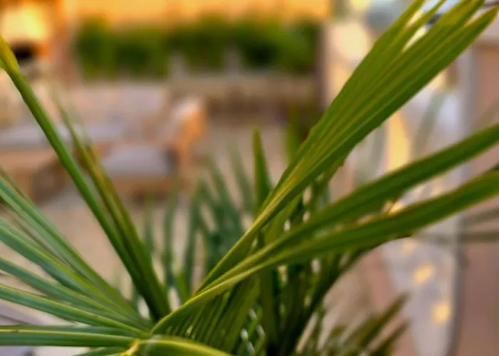 Mirador Del Atlantico With Heated Pool * Puerto de Santiago (Tenerife)